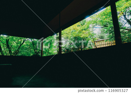 京都美麗的苔蘚寺廟 京都美麗的苔蘚寺廟 116905327