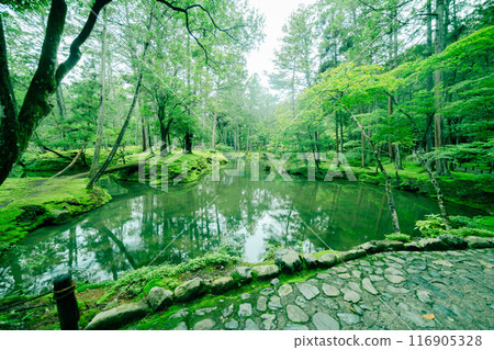 京都美麗的苔蘚寺廟 116905328