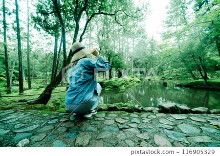 京都美麗的苔蘚寺廟 116905329