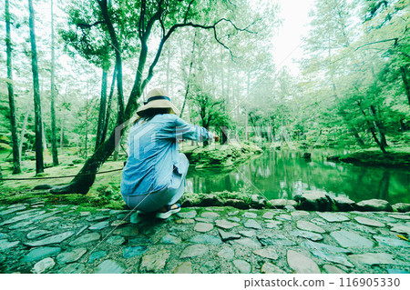 京都美麗的苔蘚寺廟 116905330