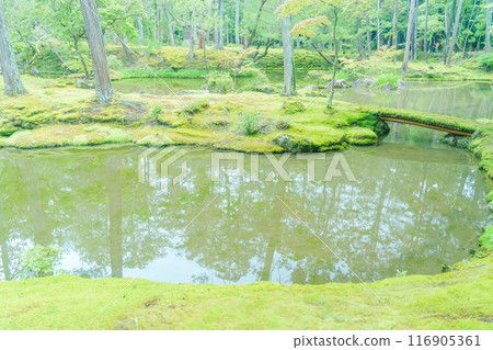 京都美麗的苔蘚寺廟 116905361