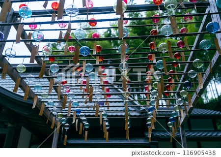 Beautiful wind chimes at Shojuin Temple Beautiful wind chimes at Shojuin Temple 116905438