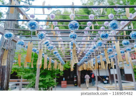 Beautiful wind chimes at Shojuin Temple Beautiful wind chimes at Shojuin Temple 116905482