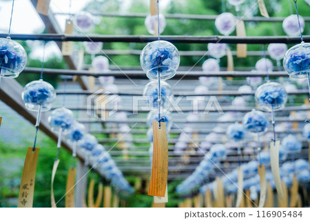 Beautiful wind chimes at Shojuin Temple Beautiful wind chimes at Shojuin Temple 116905484