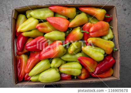 A variety of vibrant bell peppers, assorted in a cardboard box, is fresh and colorful A variety of vibrant bell peppers, assorted in a cardboard box, is fresh and colorful 116905678
