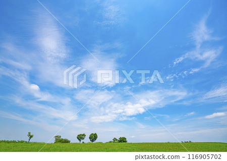 夏天藍天和草甸 116905702
