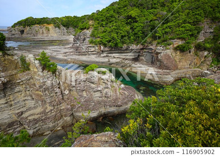 春季、初夏和夏季的和歌山、南紀、白濱，露營營火，沿著藍色潟湖、鳥毛洞和日置川漫步 116905902