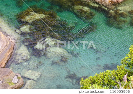 春季、初夏和夏季的和歌山、南紀、白濱，露營營火，沿著藍色潟湖、鳥毛洞和日置川漫步 116905906