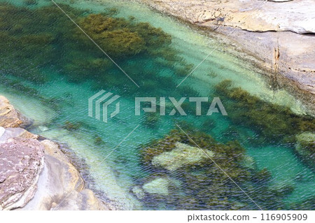 春季、初夏和夏季的和歌山、南紀、白濱，露營營火，沿著藍色潟湖、鳥毛洞和日置川漫步 116905909