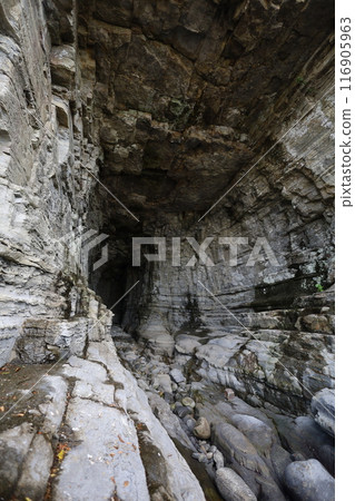 Spring, early summer, summer in Wakayama, Nanki, Shirahama, glamping with a bonfire and exploring the Blue Lagoon, Torigoe Cave and Hioki River Spring, early summer, summer in Wakayama, Nanki, Shirahama, glamping with a bonfire and exploring the Blue Lagoon, Torigoe Cave and Hioki River 116905963