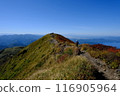 秋田駒岳騎馬 116905964