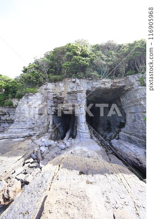 Spring, early summer, summer in Wakayama, Nanki, Shirahama, glamping with a bonfire and exploring the Blue Lagoon, Torigoe Cave and Hioki River Spring, early summer, summer in Wakayama, Nanki, Shirahama, glamping with a bonfire and exploring the Blue Lagoon, Torigoe Cave and Hioki River 116905968