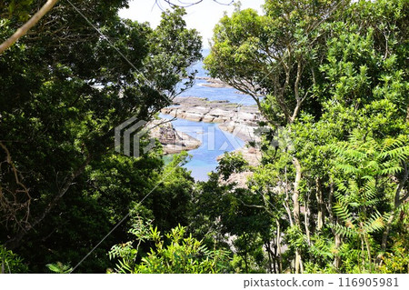 Spring, early summer, summer in Wakayama, Nanki, Shirahama, glamping with a bonfire and exploring the Blue Lagoon, Torigoe Cave and Hioki River Spring, early summer, summer in Wakayama, Nanki, Shirahama, glamping with a bonfire and exploring the Blue Lagoon, Torigoe Cave and Hioki River 116905981