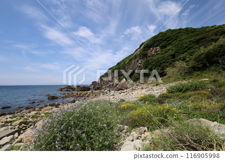春季、初夏和夏季的和歌山、南紀、白濱,露營營火,沿著藍色潟湖、鳥毛洞和日置川漫步 春季、初夏和夏季的和歌山、南紀、白濱,露營營火,沿著藍色潟湖、鳥毛洞和日置川漫步 116905998