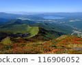 從秋田駒嶽山眺望秋天的田澤湖 116906052