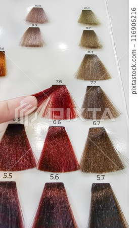 A palette of hair colors made from artificial strands on a white background 116906216