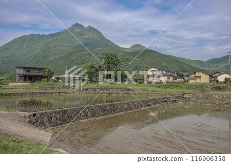 Yufuin Field Farm, Pastoral Charm in Nagasaki Countryside May 15 2024 116906358