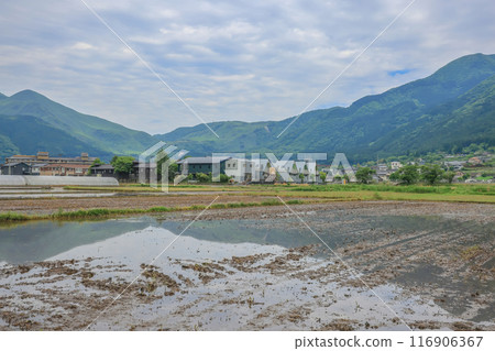 Yufuin Field Farm, Pastoral Charm in Nagasaki Countryside May 15 2024 Yufuin Field Farm, Pastoral Charm in Nagasaki Countryside May 15 2024 116906367
