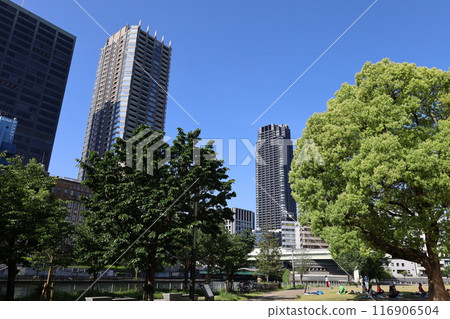 從春天到初夏，在日本大阪市中心，這就是中之島，玫瑰園裡的玫瑰園，玫瑰園裡看到的公園 116906504