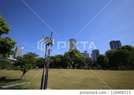從春天到初夏,在日本大阪市中心,這就是中之島,玫瑰園裡的玫瑰園,玫瑰園裡看到的公園 從春天到初夏,在日本大阪市中心,這就是中之島,玫瑰園裡的玫瑰園,玫瑰園裡看到的公園 116906515