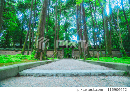 唐招提寺的美麗景色 唐招提寺的美麗景色 116906652