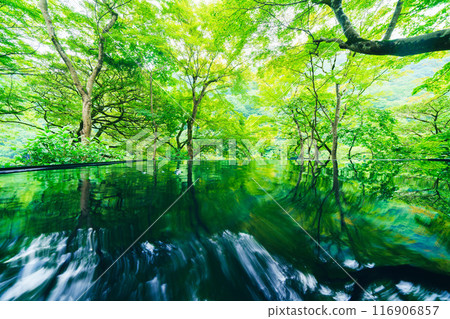 The beautiful gardens of Arashiyama Yusaitei The beautiful gardens of Arashiyama Yusaitei 116906857