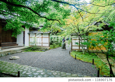 Beautiful scenery at the Moss Temple in Kyoto Beautiful scenery at the Moss Temple in Kyoto 116907176