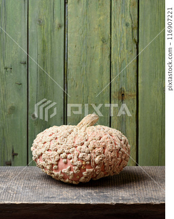 Galeux d' Eysines Squash or Galeuse d' Eysines Pumpkin 116907221