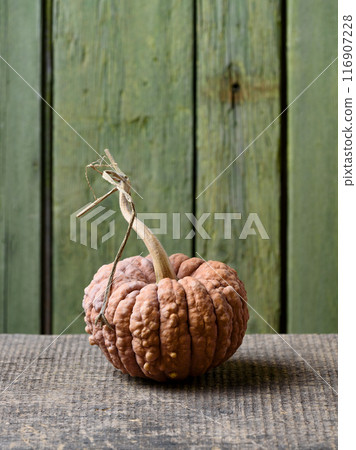 Black Futsu Squash Black Futsu Squash 116907228