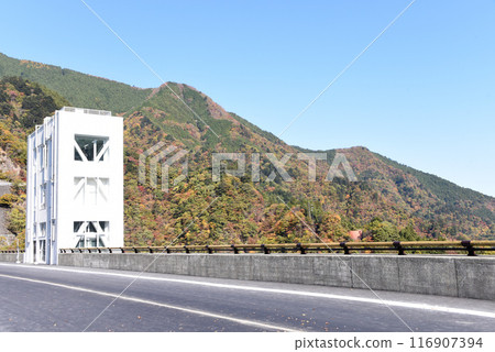 Autumn leaves of Okutama Lake 116907394