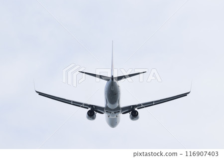Passenger plane (B737) taking off 116907403