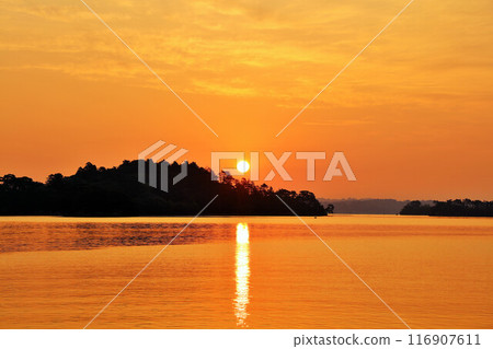 宮城縣黎明時分的松島 116907611