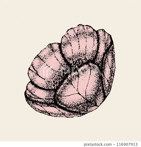 Wild rose flowers drawing and sketch with pointillism on white backgrounds. Vintage illustration of dog-rose Wild rose flowers drawing and sketch with pointillism on white backgrounds. Vintage illustration of dog-rose 116907913