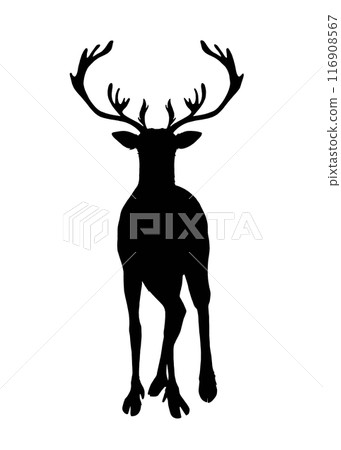 長著大鹿角的馴鹿剪影 116908567