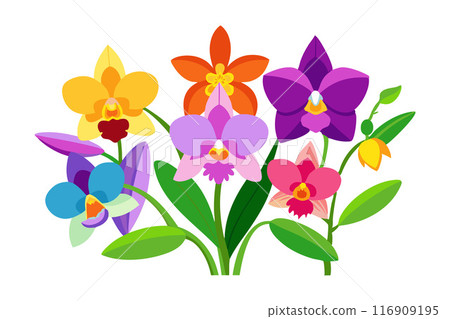 Colorful orchid flowers illustration with green leaves on white background 116909195