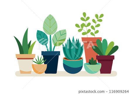 Collection of potted houseplants illustration showcasing a variety of green leafy indoor plants 116909264