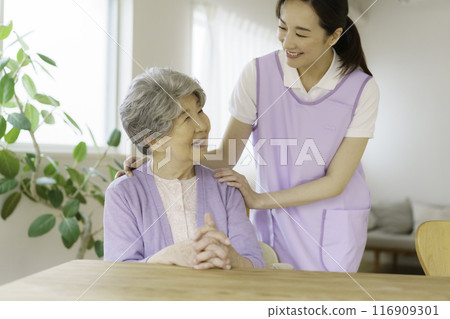 Senior woman and nurse having a conversation in the living room 116909301