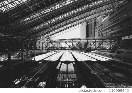<Osaka Prefecture, Umeda> Bold structural beauty (Osaka Station) 116909443