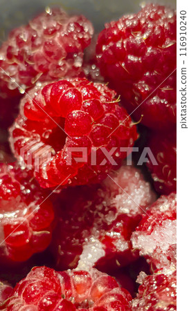 Raspberry berries. Autumn harvest. Making jam and sauce. Macro photography. 116910240