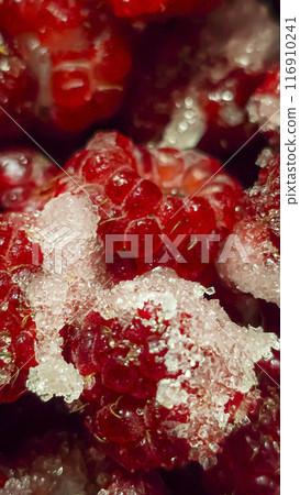 Raspberry berries. Autumn harvest. Making jam and sauce. Macro photography. 116910241