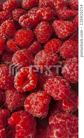 Raspberry berries. Autumn harvest. Making jam and sauce. Macro photography. Raspberry berries. Autumn harvest. Making jam and sauce. Macro photography. 116910254