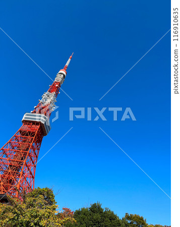 從芝公園看到的東京塔 116910635