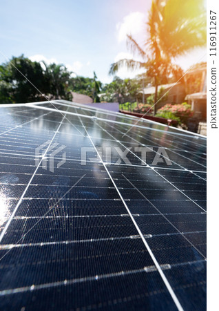 Renewable energy theme Renewable energy theme 116911267