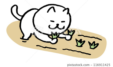 一隻可愛的耕田小眼睛白貓的人物素材 116911425