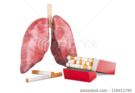 Cigarette pack with human lungs. Lungs disease from smoking, concept. 3D rendering 116911795