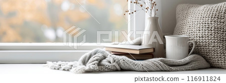 Cozy Windowsill Scene 116911824