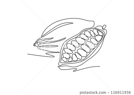 Continuous one line drawing whole healthy organic cocoa beans for plantation logo identity. Fresh cacao bean concept for chocolate drink shop icon. Single line draw design vector graphic illustration Continuous one line drawing whole healthy organic cocoa beans for plantation logo identity. Fresh cacao bean concept for chocolate drink shop icon. Single line draw design vector graphic illustration 116911936