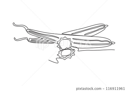 Single one line drawing of whole and sliced healthy organic sponge gourd for logo identity. Fresh Vietnamese luffa concept for vegetable icon. Continuous line draw design graphic vector illustration 116911961