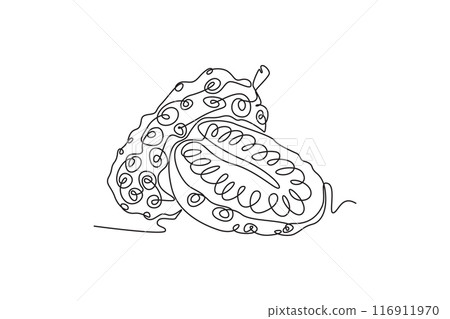 Single continuous line drawing whole half sliced healthy organic noni for orchard logo identity. Fresh tropical fruitage concept for fruit garden icon. One line draw graphic design vector illustration 116911970