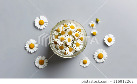 Chamomile flowers background light gray 116912262